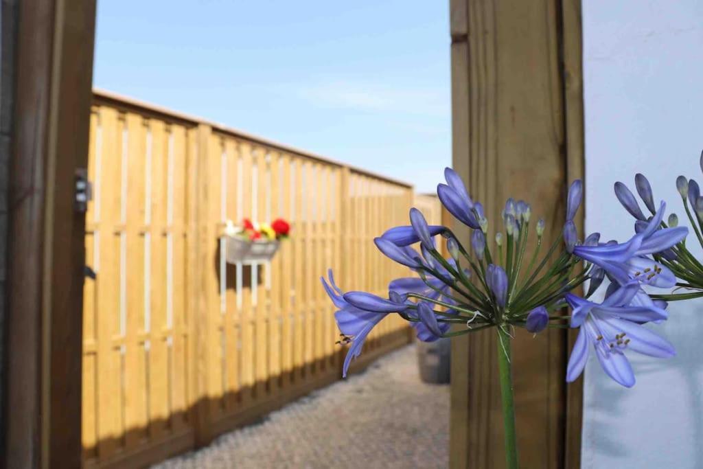St Agnes Perfect Location, Hot Tub, Sea Views, Gym Apartment Exterior photo